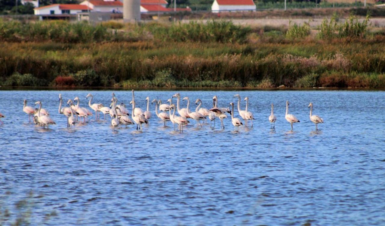 Stella Di Mare - Alojamento Local Figueira da Foz Bagian luar foto